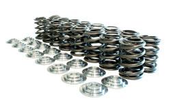 MANLEY (PN# 26185) Spring/Retainer Kit; Includes Spring # 22185-16 and Retainer # 23185-16