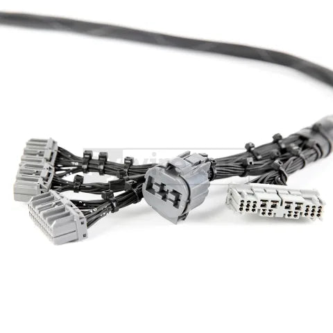 OBD2 Budget D & B-series Tucked Engine Harness