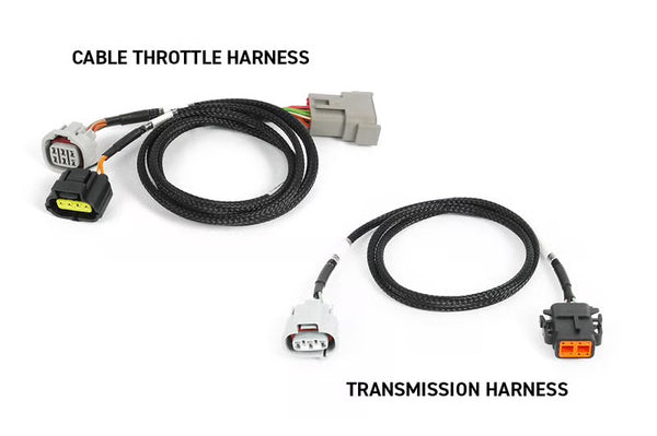 Haltech NEXUS Rebel JZ