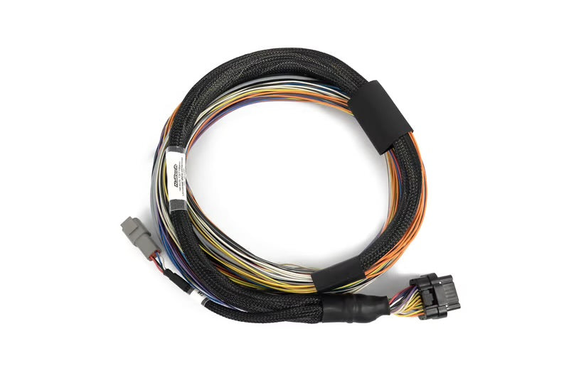 Haltech Nexus T2 / T1 Basic Universal Wire-in Harness