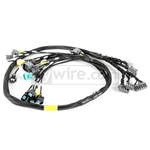 OBD2 Budget D & B-series Tucked Engine Harness