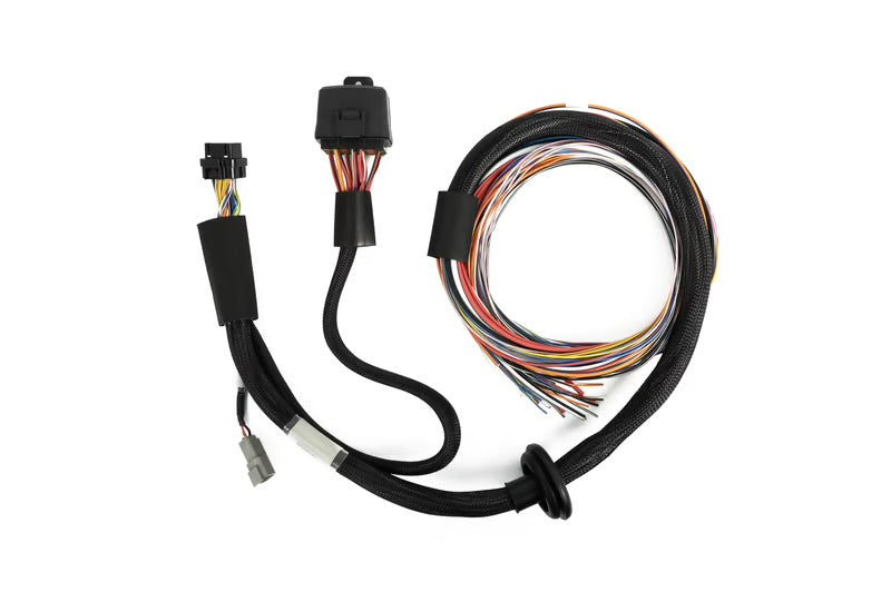 Haltech Nexus T2 / T1 Premium Universal Wire-in Harness - 2.5m (8')